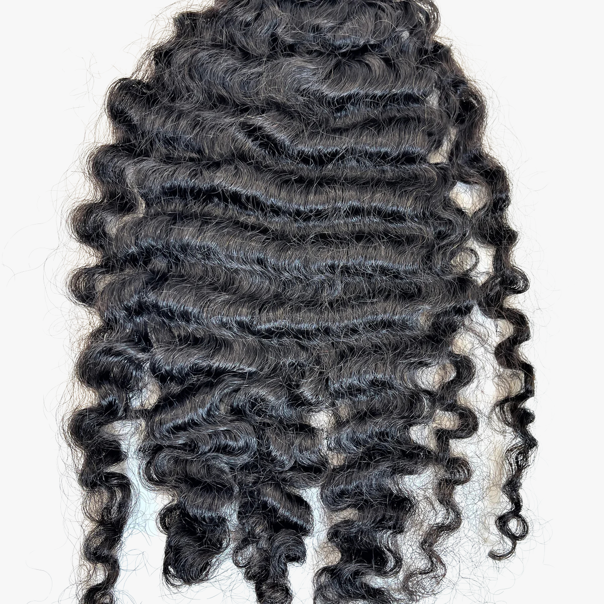 AP CURLY