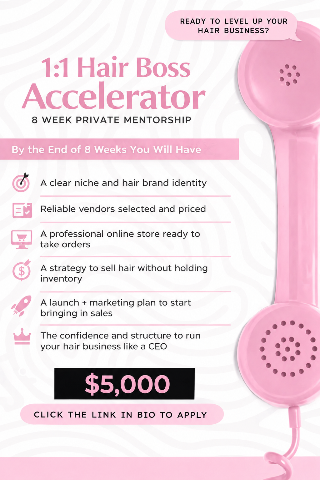 1:1 Hair Boss Accelerator – 8 Week Private Mentorship